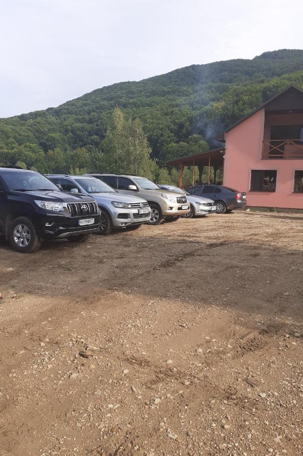 Соколів Камінь Novoselitsa  Exterior foto