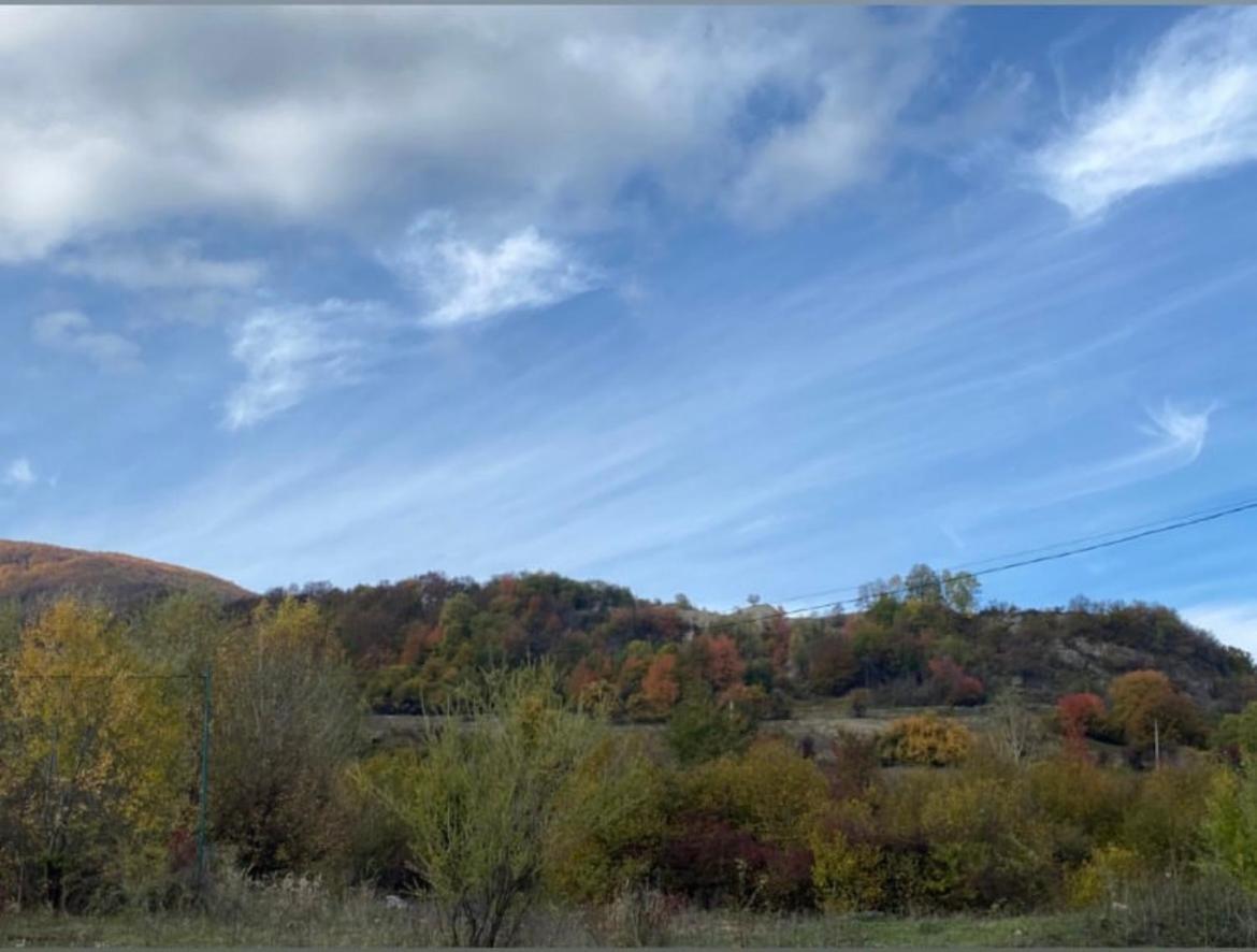 Соколів Камінь Novoselitsa  Exterior foto