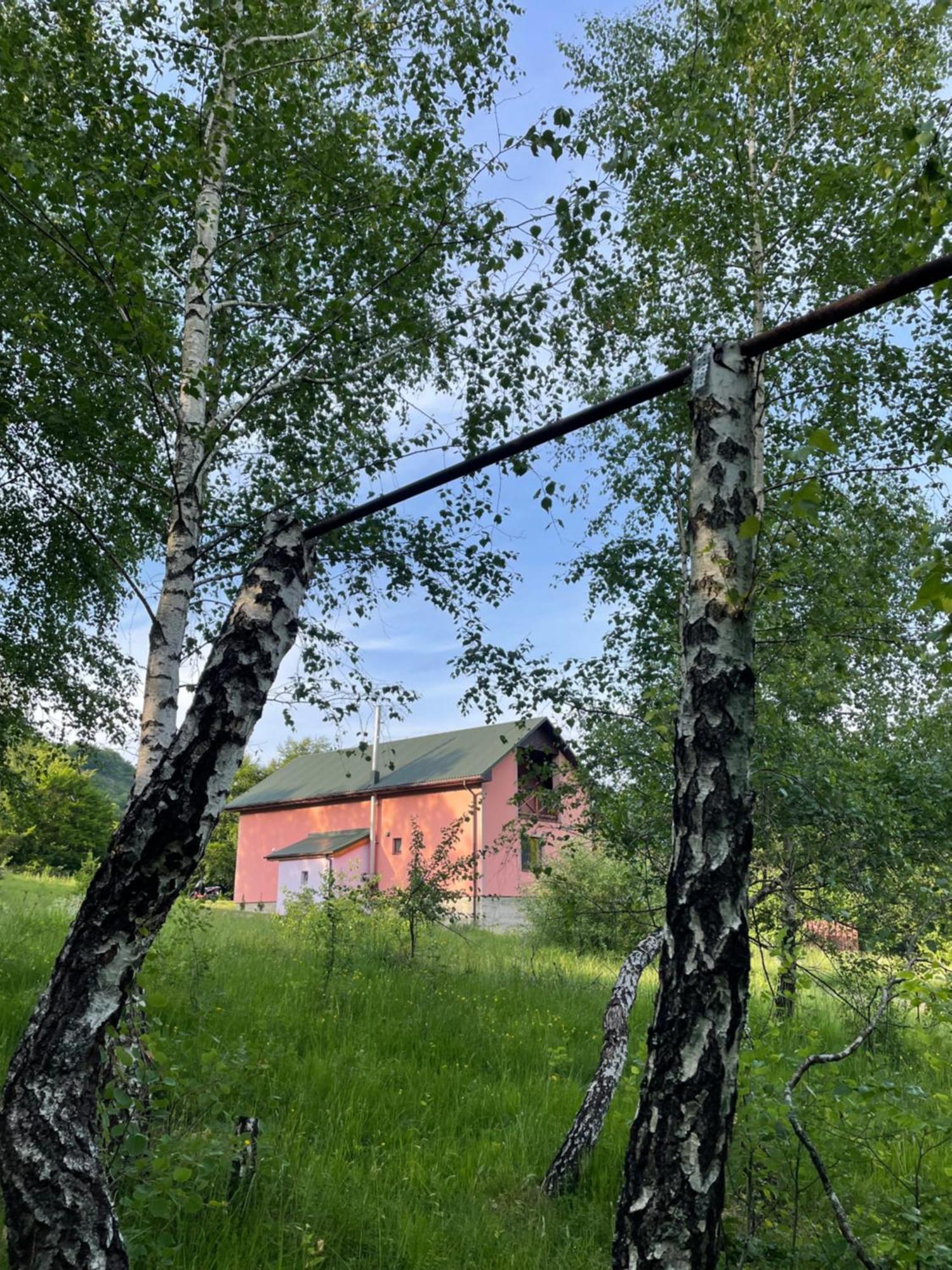 Соколів Камінь Novoselitsa  Exterior foto